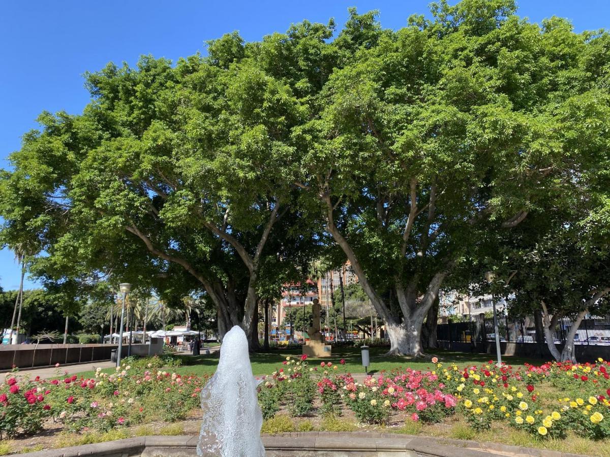 Benecharo By Canariasgetaway Las Palmas de Gran Canaria Luaran gambar